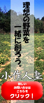 ���₢�����͂�����܂�